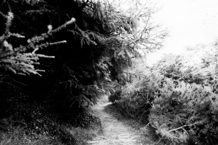 Photographic work by Richard Gosnold in Northern Ireland. Paradise Lost.