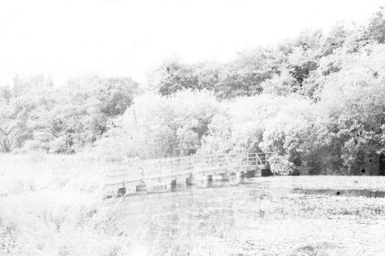 Photographic work by Richard Gosnold in Northern Ireland. Paradise Lost.