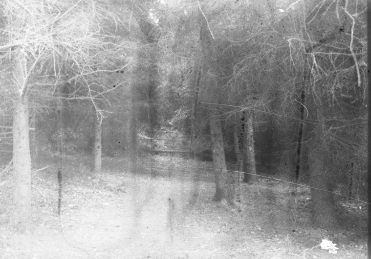 Photographic work by Richard Gosnold in Northern Ireland. Paradise Lost.