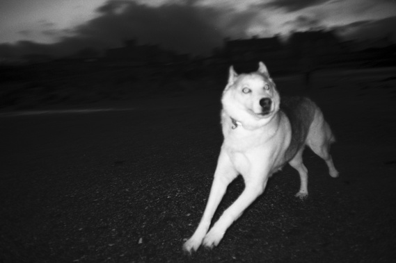 from Don't You Think It's Strange. A photograph by Richard Gosnold in Northern Ireland.