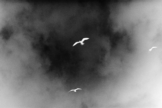 from Don't You Think It's Strange. A photograph by Richard Gosnold in Northern Ireland.