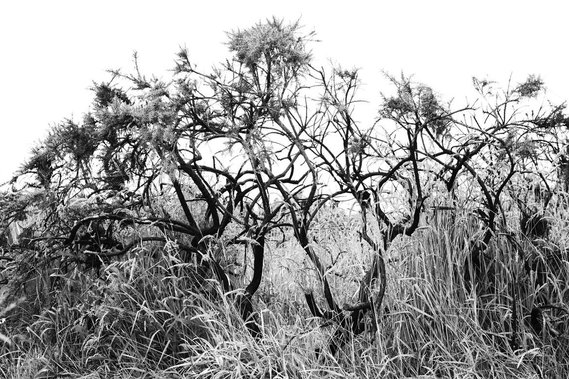 From It Starts With Silence. A photographic work by Richard Gosnold in Northern Ireland.