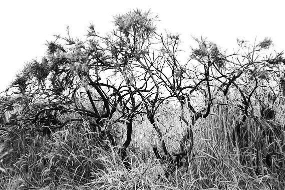 From It Starts With Silence. A photographic work by Richard Gosnold in Northern Ireland.