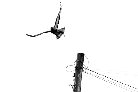 From It Starts With Silence. A photographic work by Richard Gosnold in Northern Ireland.