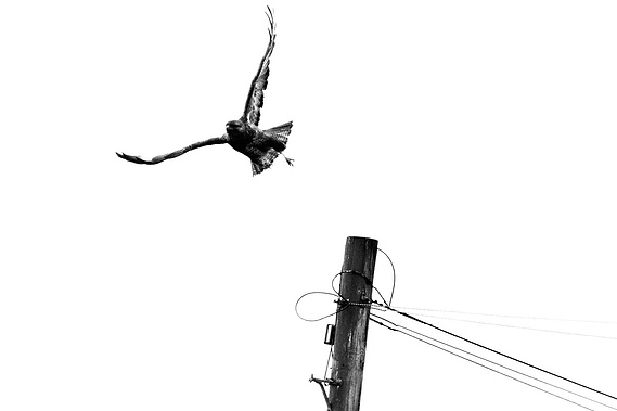 From It Starts With Silence. A photographic work by Richard Gosnold in Northern Ireland.