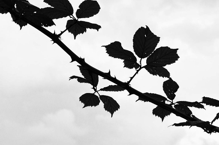 From It Starts With Silence. A photographic work by Richard Gosnold in Northern Ireland.