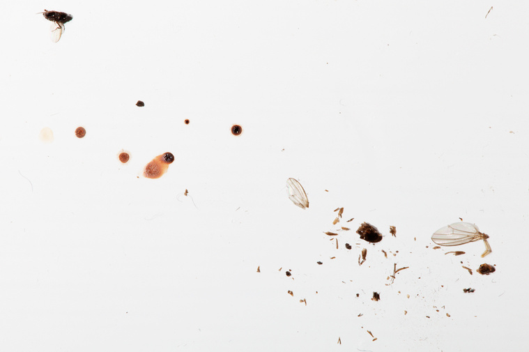 From It Starts With Silence. A photographic work by Richard Gosnold in Northern Ireland.