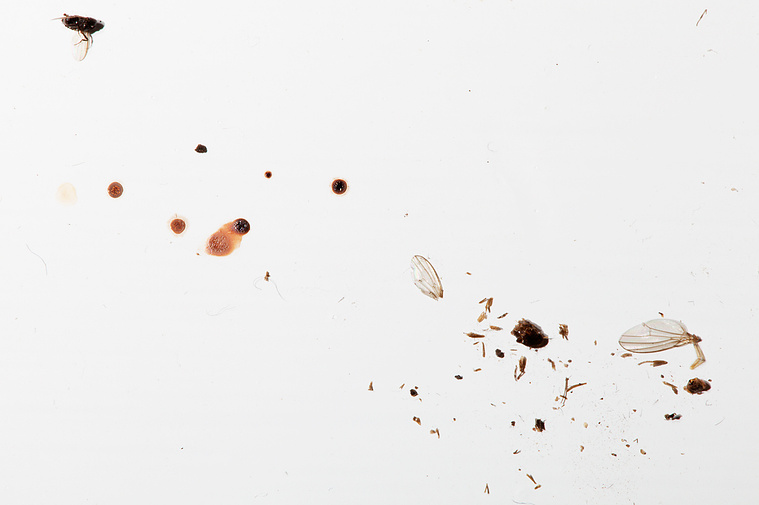 From It Starts With Silence. A photographic work by Richard Gosnold in Northern Ireland.