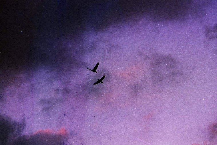 Photographic work by Richard Gosnold in Northern Ireland. Paradise Lost.