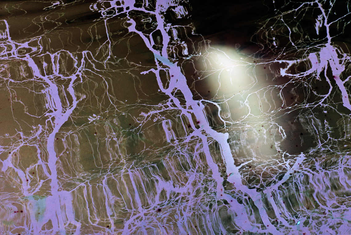 Photographic work by Richard Gosnold in Northern Ireland. Paradise Lost.