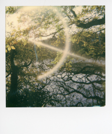 Photographic work by Richard Gosnold in Northern Ireland. Paradise Lost.