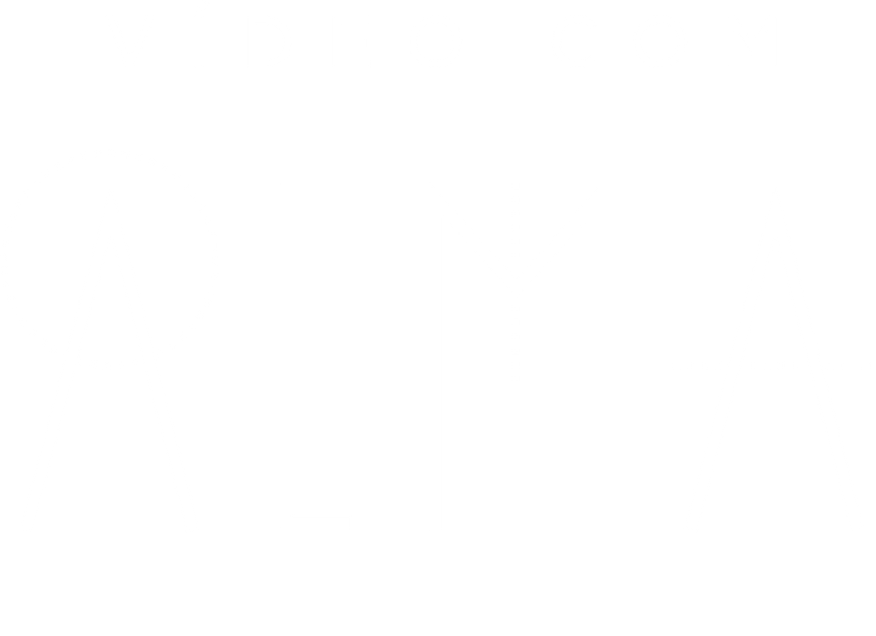 V I D E O  COM  A L M A 