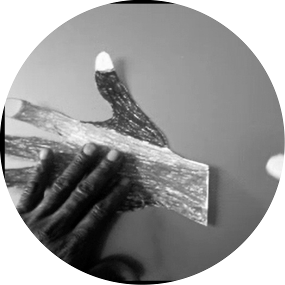  Arteterapia