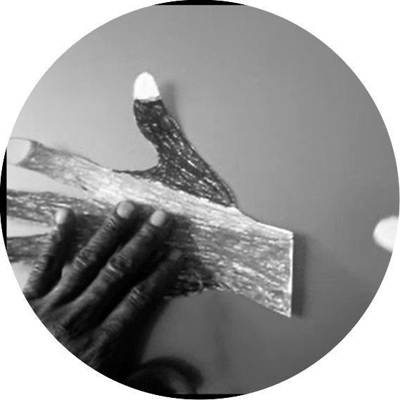  Arteterapia