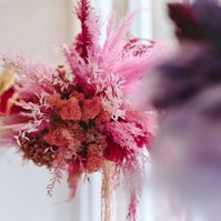 Flowers by Blomme