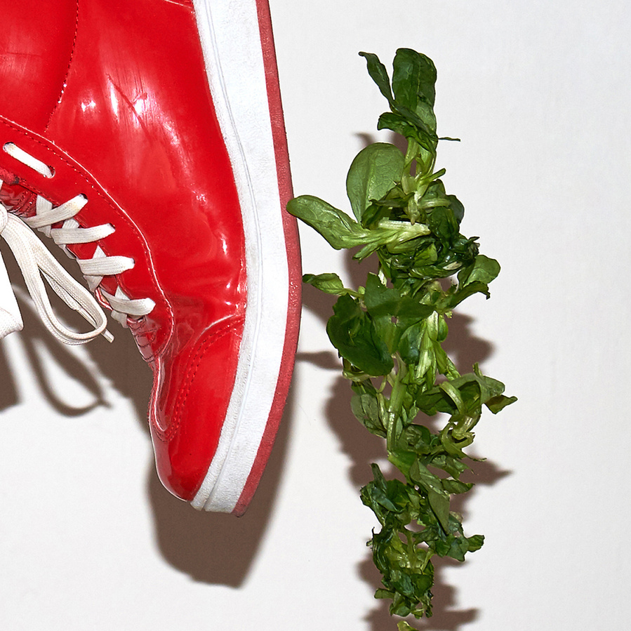 Detail of a bright red sneaker and green lettuce flying in the air in front of a white wall