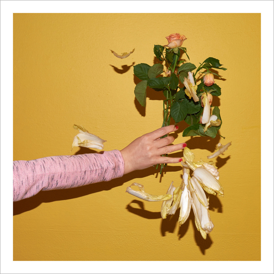 A woman's arm and hand wearing a pink shirt, with varnished finger nails presenting roses and flying chicoree in front of a yellow wall