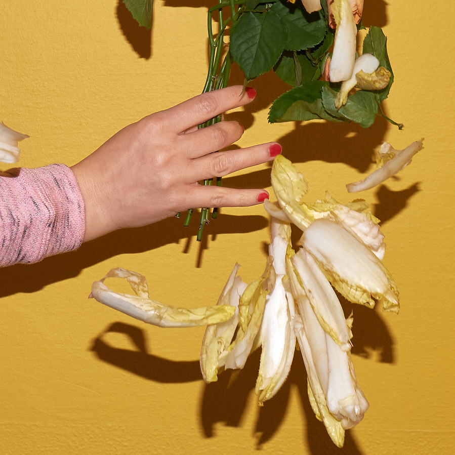 Detail of a woman's arm and hand wearing a pink shirt, with varnished finger nails presenting roses and flying chicoree in front of a yellow wall