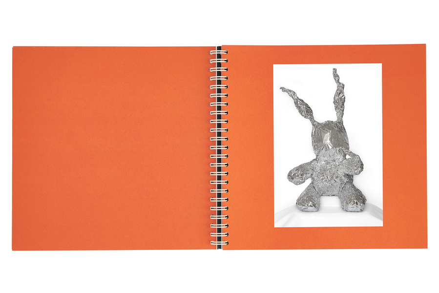 An open book with orange colored pages showing the photograph of a silver rabbit on the right page