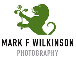 Mark Wilkinson's Portfolio