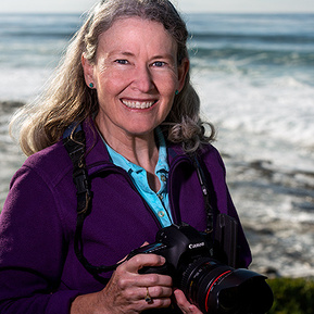 Ann Collins, Photographer