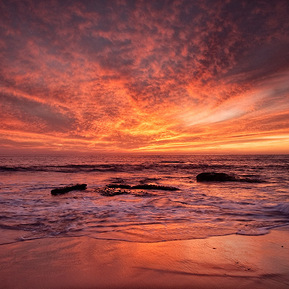 Windansea Beach, La Jolla, CA