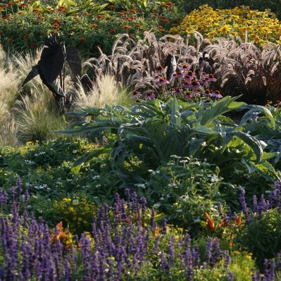 Pennisetum, cardoon, elephant ear, and perennials create texture, movement, and seasonal color in a layered composition.