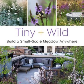 Adam Woodruff’s naturalistic garden design is featured in Tiny + Wild, showcasing immersive, plant-driven landscapes with ecological depth.