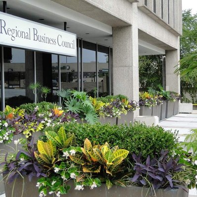 Planters with Croton, Papyrus, Philodendron, Tradescantia, and Begonia line the entrance of the Regional Business Council.