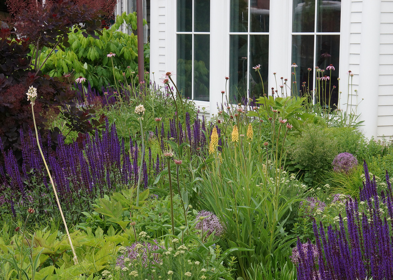A sophisticated layered garden by Adam Woodruff, featuring Salvia, Echinacea, and Kniphofia in a naturalistic planting composition.