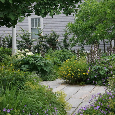 Acanthus, Geranium, smooth hydrangea, and Alchemilla frame reclaimed granite paths, blending texture, structure, and seasonal color.