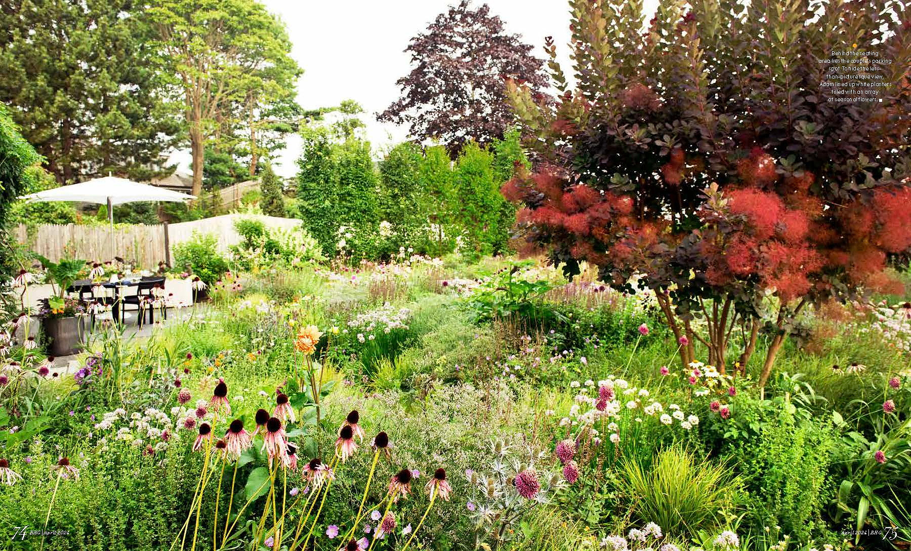 A lush naturalistic garden by Adam Woodruff featuring smokebush, Echinacea, alliums, and a dining patio under a white umbrella.