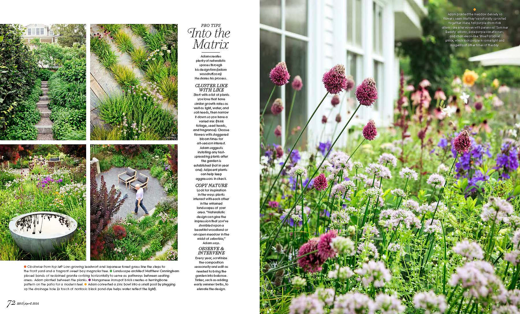 A naturalistic garden by Adam Woodruff featuring matrix-style plantings with alliums, oregano, and vibrant summer perennials.