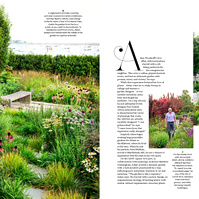 A lush coastal garden by Adam Woodruff with naturalistic plantings, a stone pathway, and a bench overlooking the water.