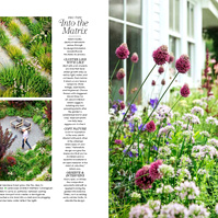A naturalistic garden by Adam Woodruff featuring matrix-style plantings with alliums, oregano, and vibrant summer perennials.