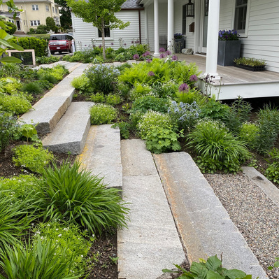 Reclaimed granite steps weave through layered plantings of grasses, ferns, and perennials, creating a dynamic entry garden.