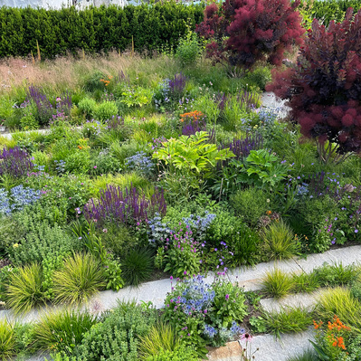 Layered plantings of salvia, amsonia, and grasses create a dynamic yet tranquil retreat, seamlessly blending structure and softness.