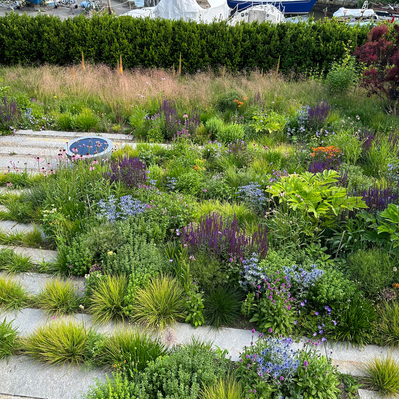 This garden, set against the backdrop of a working boatyard, demonstrates how thoughtful planting can create a sanctuary in any setting.