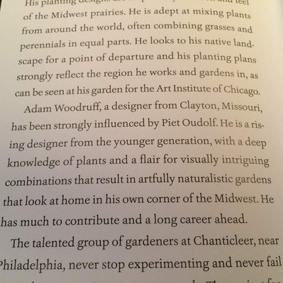 Innovative planting design in The Authentic Garden, merging naturalistic and contemporary styles for dynamic outdoor spaces.