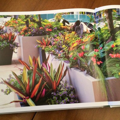 Innovative planting design in The Authentic Garden, merging naturalistic and contemporary styles for dynamic outdoor spaces.