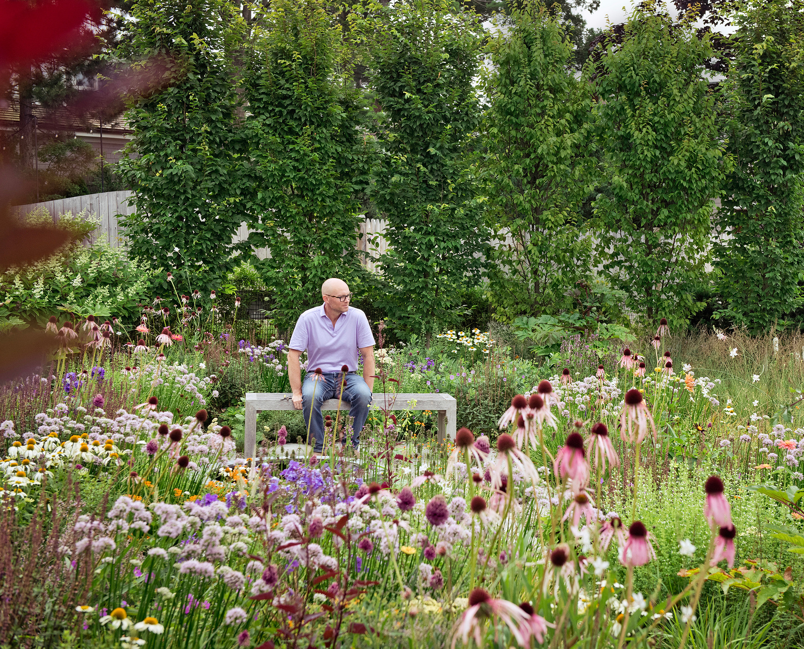 Adam Woodruff in a naturalistic meadow garden, surrounded by Echinacea and seasonal perennials, embodying immersive landscape design.