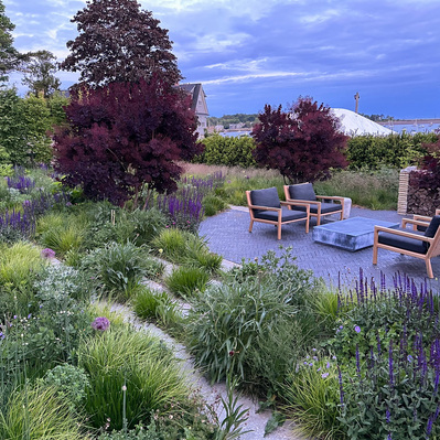 Designed by Adam Woodruff, this layered planting pairs deep-toned smokebush with a meadow of Salvia and grasses, blending structure and softness in a coastal retreat.