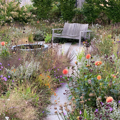 A weathered bench invites pause among Jowey Nicky dahlias, their warm tones mingling with late-season seed heads and delicate florals.