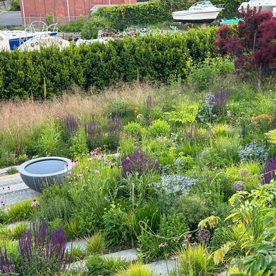 A layered planting of perennials, grasses, and shrubs creates a dynamic, immersive garden, anchored by a modern water feature.