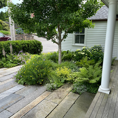 Naturalistic front garden with layered textures, seasonal interest, and dynamic plantings that harmonize with the architectural setting.