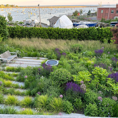 A layered coastal meadow with Salvia, grasses, and alliums, seamlessly blending structured design with nature's fluidity.