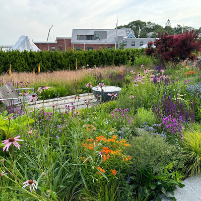 A layered, immersive planting of Echinacea, Salvia, and grasses softens the transition between garden and working waterfront.