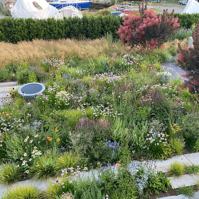 A naturalistic meadow garden layered with texture and movement, seamlessly blending with its coastal surroundings and structured pathways.