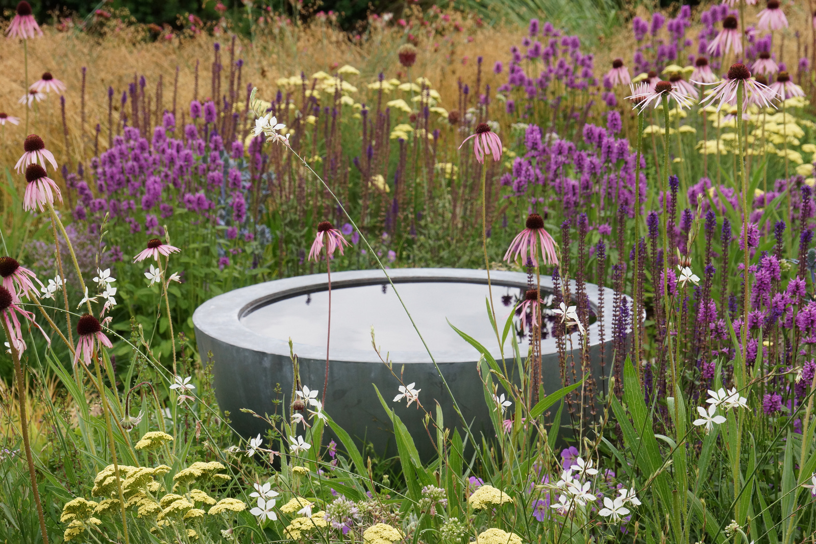 A refined naturalistic garden by Adam Woodruff, featuring Echinacea, Stachys, and a modern water feature in a layered meadow setting.