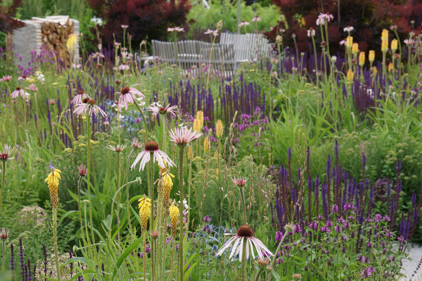 An immersive naturalistic garden by Adam Woodruff, featuring Echinacea, Kniphofia, and Salvia with a serene seating area.